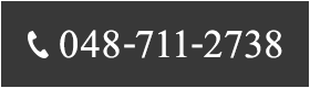 048-711-2738